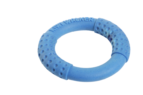 Kiwi Walker Let's Play! RING Mini niebieski