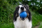 Kiwi Walker Let's Play! BALL Maxi piłka różowa