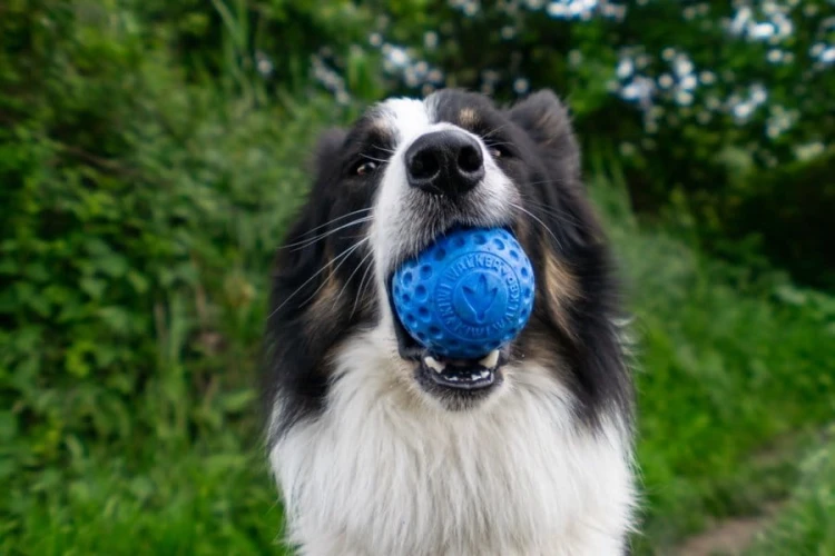 Kiwi Walker Let's Play! BALL Maxi piłka różowa