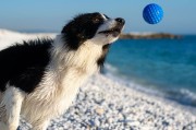 Kiwi Walker Let's Play! BALL Maxi piłka różowa