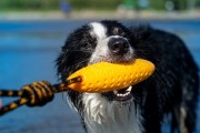 Kiwi Walker Let's Play! ZEPPELIN Maxi aport zielony