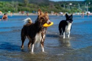 Kiwi Walker Let's Play! ZEPPELIN Maxi aport różowy