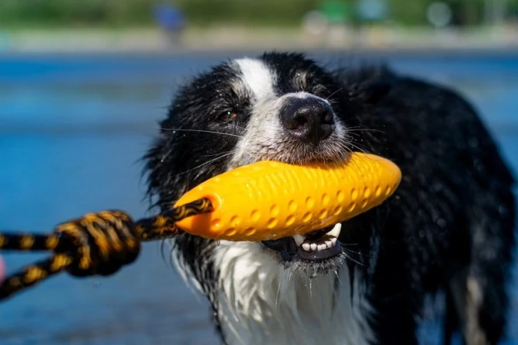Kiwi Walker Let's Play! ZEPPELIN Maxi aport różowy