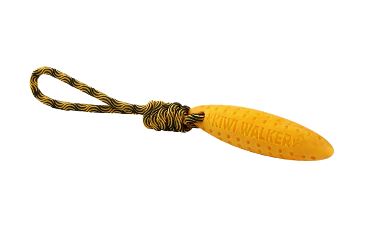 Kiwi Walker Let's Play! ZEPPELIN Mini aport pomarańczowy