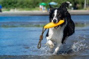 Kiwi Walker Let's Play! ZEPPELIN Mini aport niebieski