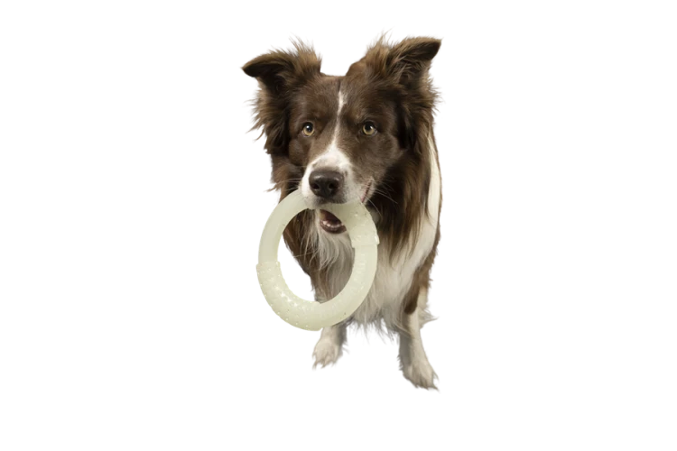 Kiwi Walker Let's Play! GLOW RING Maxi
