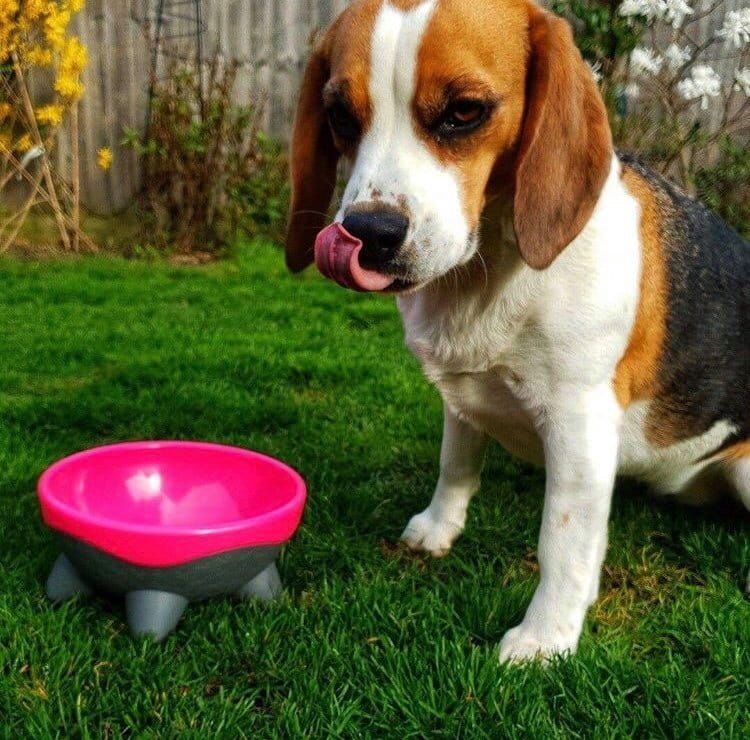 Kiwi Walker UFO BOWL miska różowa