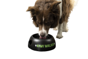 Kiwi Walker BLACK BOWL miska różowa