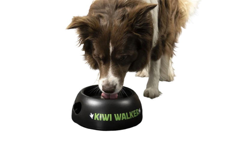 Kiwi Walker BLACK BOWL miska różowa