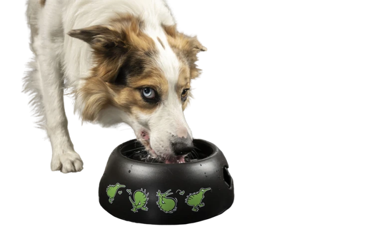 Kiwi Walker BLACK BOWL miska różowa