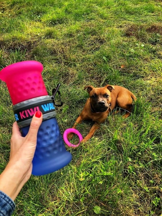 Kiwi Walker TRAVEL BOTTLE 2in1 butelka na wodę i karmę zielono-pomarańczowa