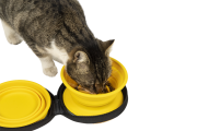 Kiwi Walker TRAVEL DOUBLE BOWL SLOWFEEDER zestaw spowalniających misek turystycznych zielonych