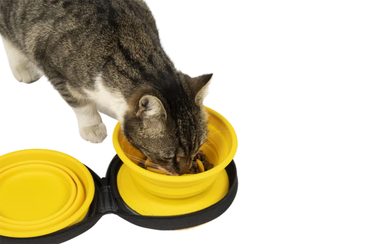 Kiwi Walker TRAVEL DOUBLE BOWL SLOWFEEDER zestaw spowalniających misek turystycznych niebieskich