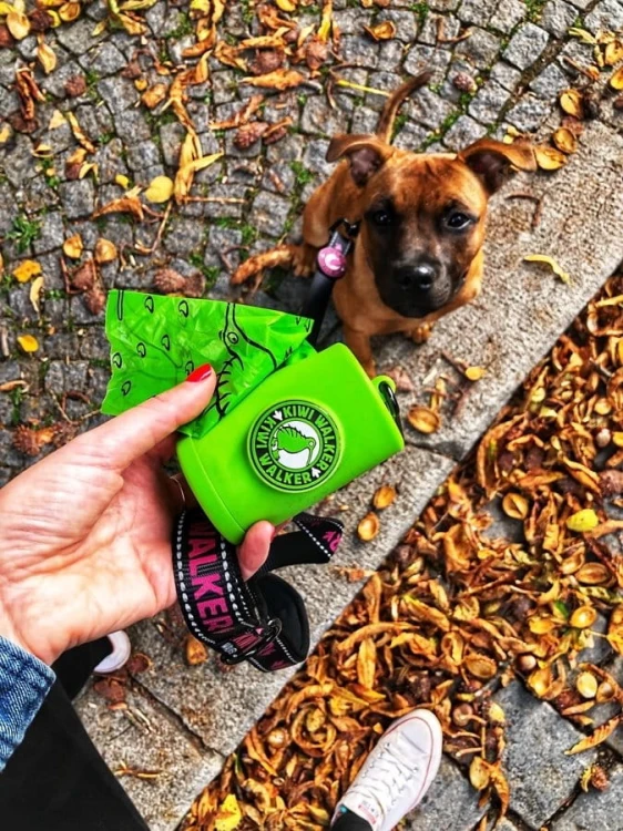 Kiwi Walker ETUI NA KUPOWORKI + 2 rolki gratis zielone