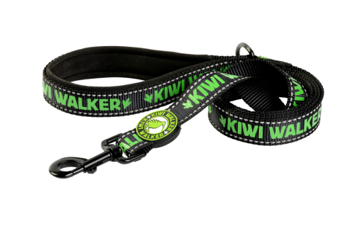 Kiwi Walker SMYCZ rozmiar L zielona