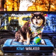 Kiwi Walker MATERAC ORTOPEDYCZNY pomarańczowo-czarny rozmiar L