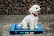 Kiwi Walker MATERAC ORTOPEDYCZNY pomarańczowo-czarny rozmiar L