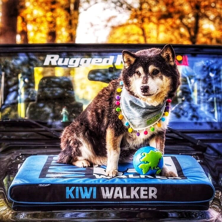 Kiwi Walker MATERAC ORTOPEDYCZNY zielono-czarny rozmiar XL
