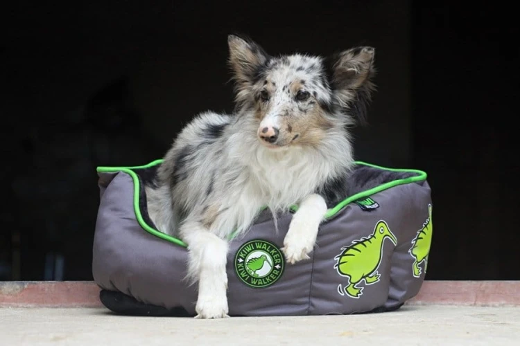 Kiwi Walker OVAL PET BED pomarańczowo-szary rozmiar L