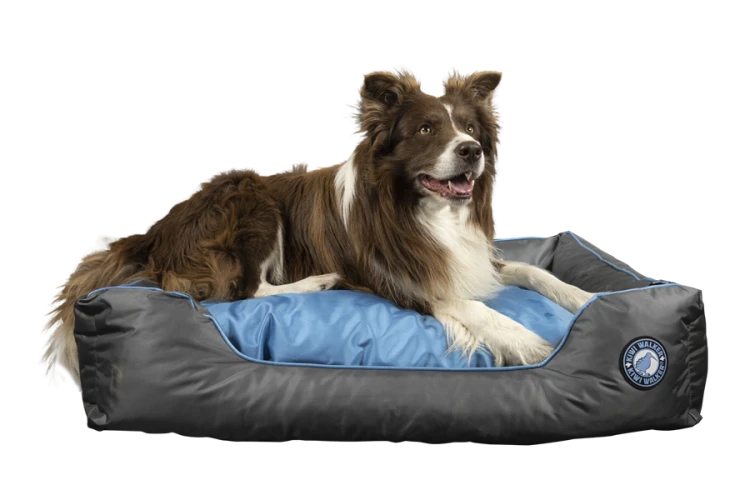Kiwi Walker SOFA BED zielono-szara rozmiar S