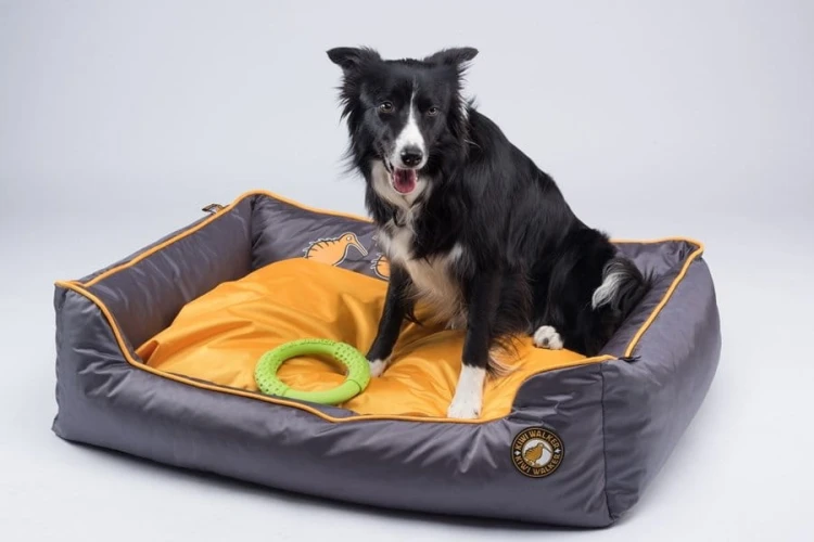 Kiwi Walker SOFA BED zielono-szara rozmiar S