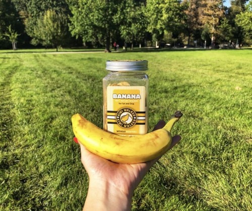 Kiwi Walker 100% BANAN liofilizowane smaczki 70g