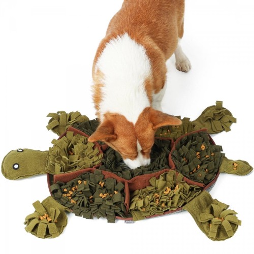 DOGLEMI Mata węchowa W ŻÓŁWIM TEMPIE