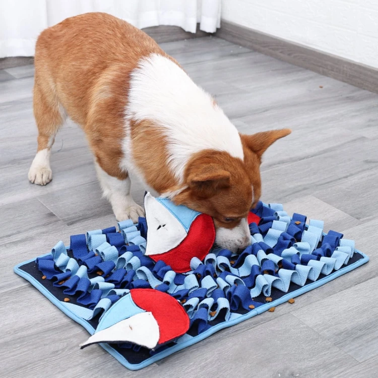 DOGLEMI Mata węchowa MORSKIE OPOWIEŚCI