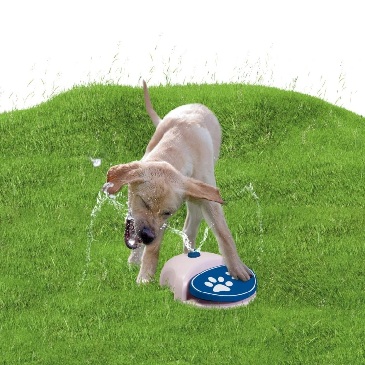 CoolPets Fontanna dla psa SPLASH