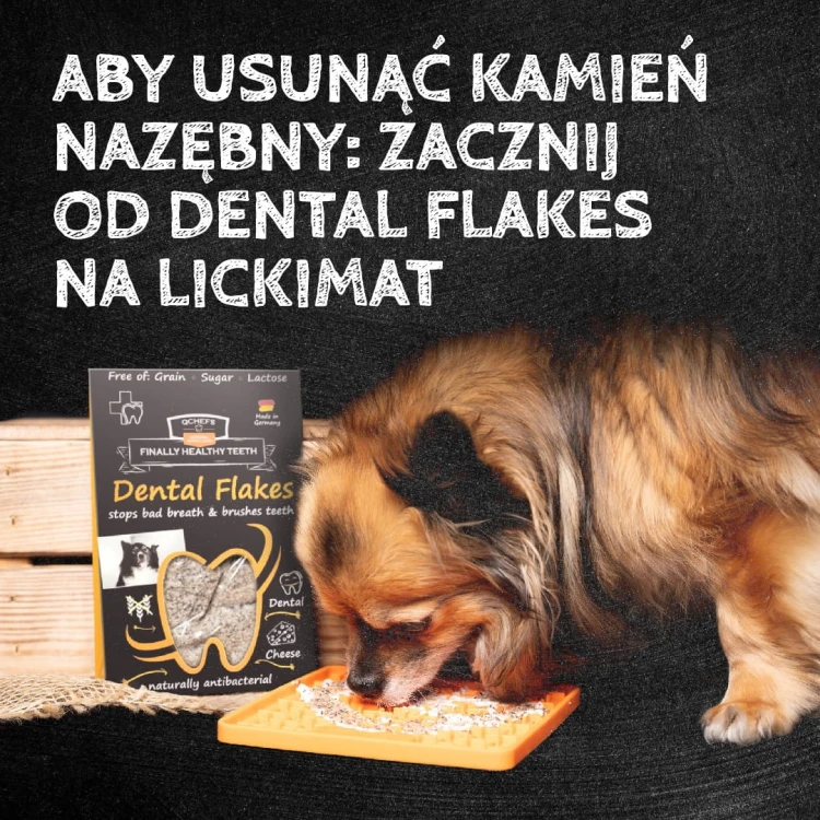 QCHEFS Hard Cracker do higieny jamy ustnej