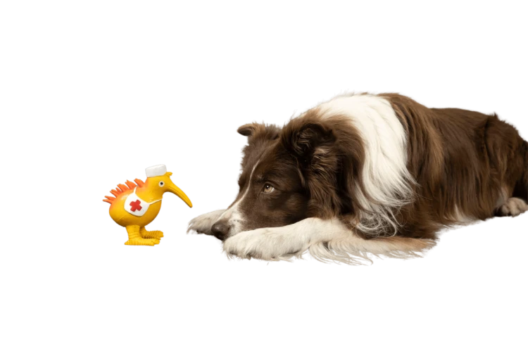 Kiwi Walker WHISTLE NURSE zabawka dla psa