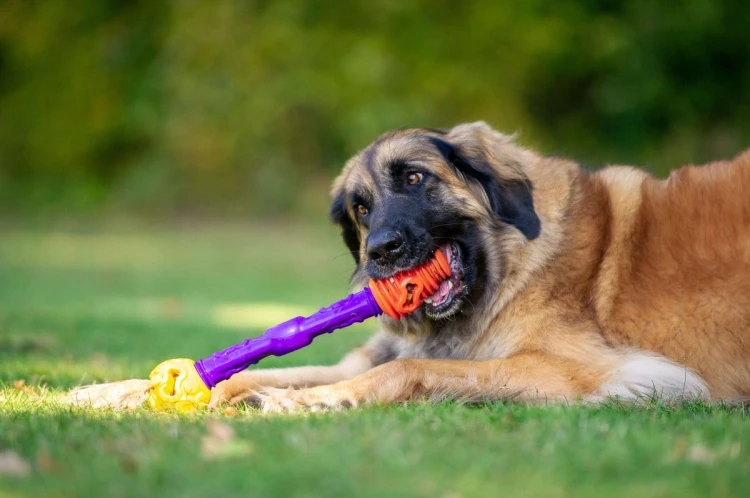 K9 Connectables TUFF TOOTHIE PRO Medium