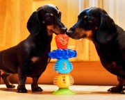 K9 Connectables BRAIN TEASER PRO Large