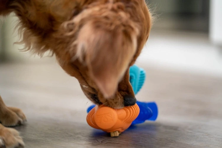 K9 Connectables BRAIN TEASER PRO Large