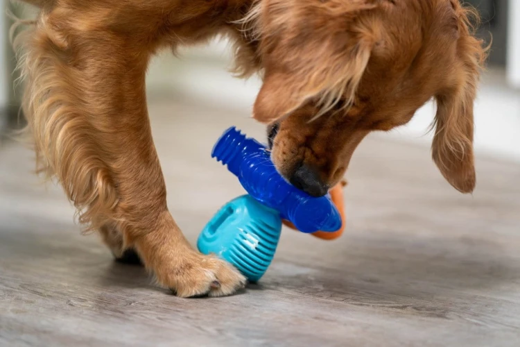 K9 Connectables BRAIN TEASER PRO Large