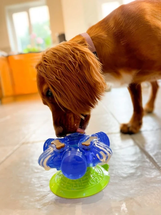 K9 Connectables BRAIN TEASER PRO Large