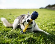 K9 Connectables TUFF STUFFER PRO Large