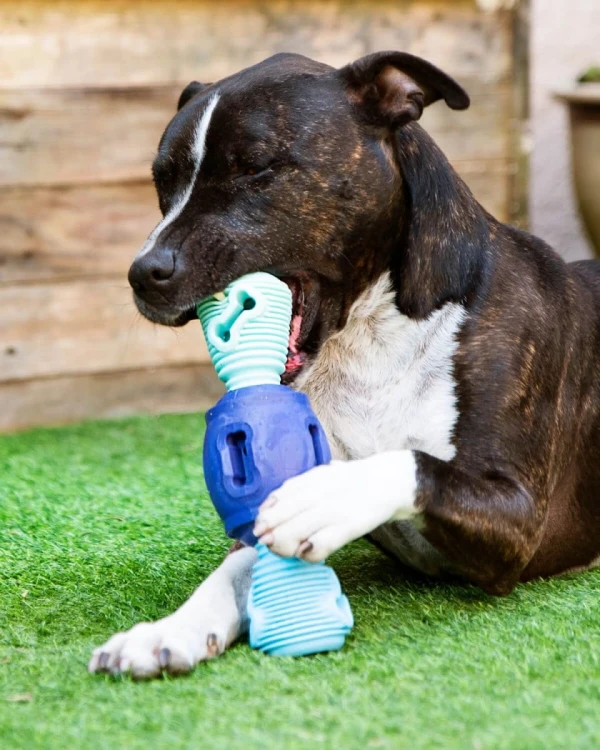 K9 Connectables TUFF STUFFER PRO Large