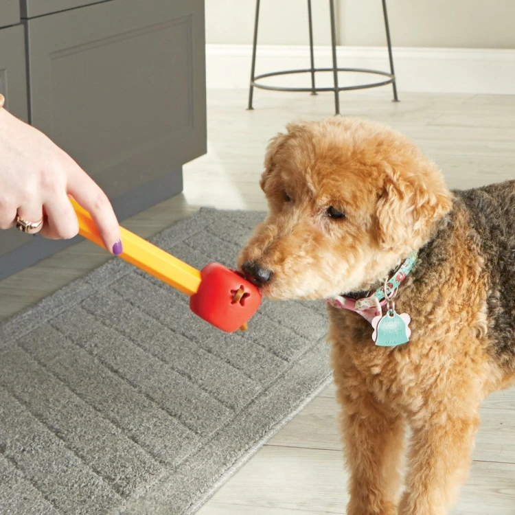 Brightkins Zestaw Szkoleniowy Pooch School! SZKOŁA DLA PSIAKÓW