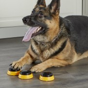 Hunger for Words TALKING PET NEXT WORDS NAMES Imiona