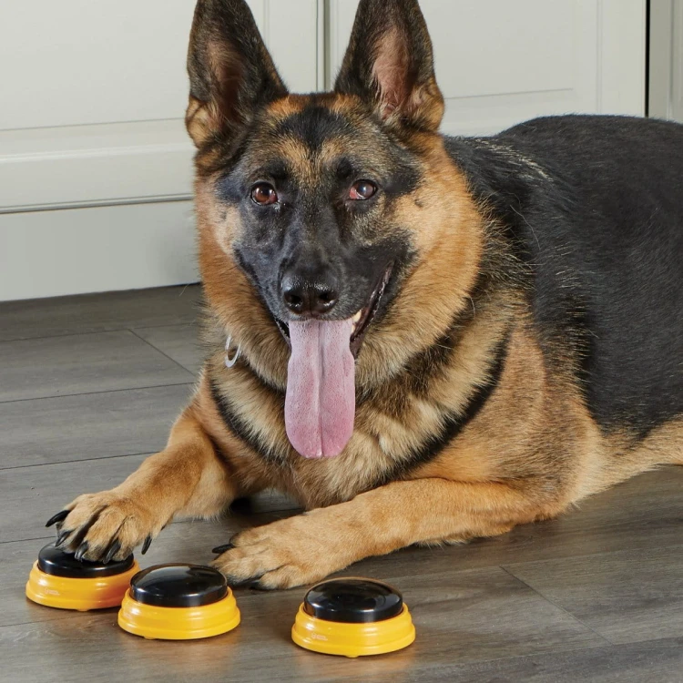 Hunger for Words TALKING PET NEXT WORDS NAMES Imiona