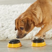 Hunger for Words TALKING PET NEXT WORDS NAMES Imiona