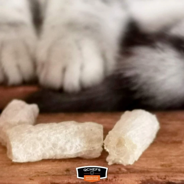 QCHEFS CAT Flips do higieny jamy ustnej dla KOTA