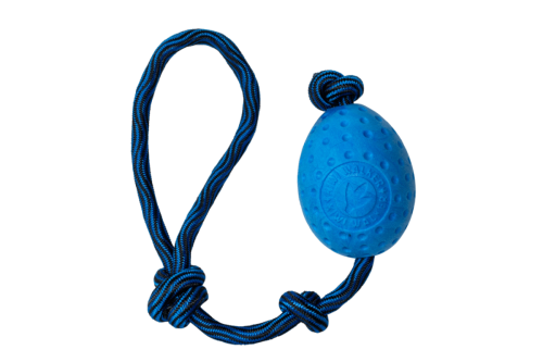 Kiwi Walker Let's Play! EGG Piankowe Jajo niebieskie