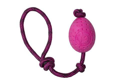 Kiwi Walker Let's Play! EGG Piankowe Jajo różowe