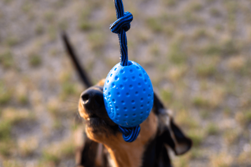 Kiwi Walker Let's Play! EGG Piankowe Jajo różowe