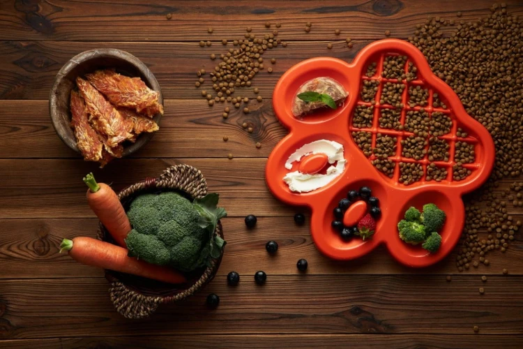 Pet Dream House PAW SLOW FEEDER kolor pomarańczowy