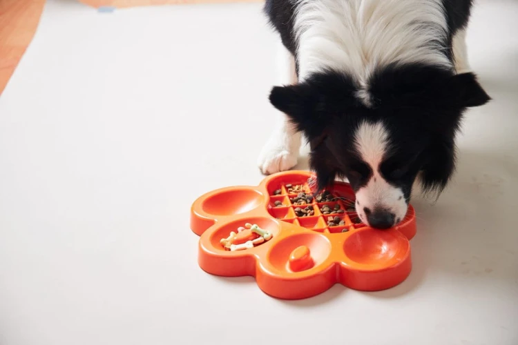 Pet Dream House PAW SLOW FEEDER kolor pomarańczowy