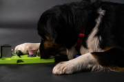 Eat Slow Live Longer PUZZLE TRIANGLE