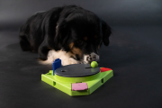 Eat Slow Live Longer PUZZLE TRIANGLE